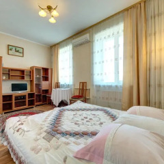 Гостиница Александрия 3* Номер Комфорт с разными типами кроватей фото 45