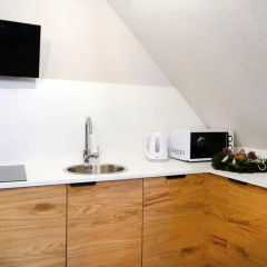 Отель Alpini Apartamenty Закопане в номере фото 2