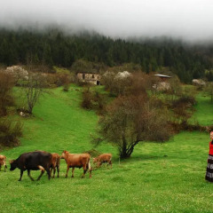 Отель Homestay Süllü Dağ Evi Гиресун фото 15