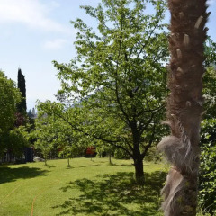 Отель Ferienwohnung Winklerhof Италия, Лана - отзывы, цены и фото номеров - забронировать отель Ferienwohnung Winklerhof онлайн фото 13