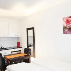 Отель City Appartements Binzmühlestrasse в номере