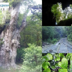 Отель Villa Heureux Якусима приотельная территория
