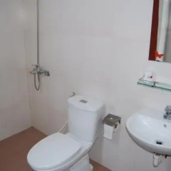 Отель Vang Anh Guesthouse ванная