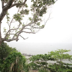 Отель Coco Cape Lanta 2* Люкс с различными типами кроватей фото 3