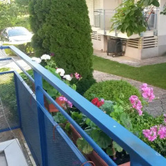 Отель Complex Elit 1 балкон