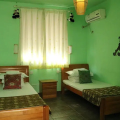 Chengdu Mrs Panda Hostel Номер категории Эконом с 2 отдельными кроватями (общая ванная комната) фото 3