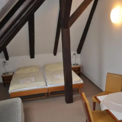 Hotel Svornost 3* Номер категории Эконом с различными типами кроватей фото 8