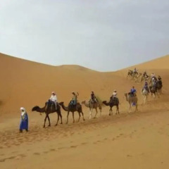 Отель Bivouac Morocco Safari Tours Марокко, Мерзуга - отзывы, цены и фото номеров - забронировать отель Bivouac Morocco Safari Tours онлайн развлечения