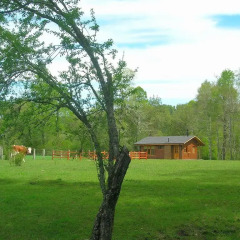 Отель Cabañas Valle del Río пляж