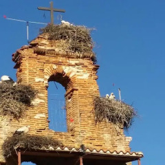 Отель La casa del camino развлечения