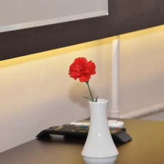 Buyuk Velic Hotel в номере фото 2