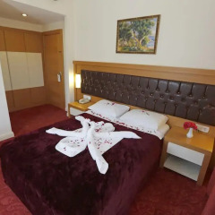 Forest Park Hotel 3* Стандартный номер с двуспальной кроватью фото 6