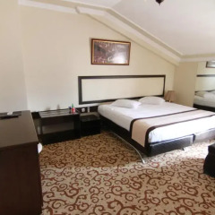 Teona Hotel Турция, Измит - отзывы, цены и фото номеров - забронировать отель Teona Hotel онлайн комната для гостей фото 4