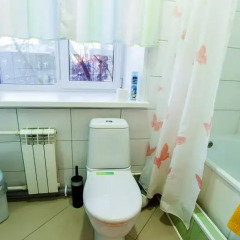 Гостиница Бастон 2* Стандартный номер разные типы кроватей фото 5