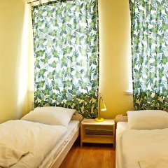 Frolic Goats Hostel Стандартный номер с 2 отдельными кроватями (общая ванная комната) фото 8