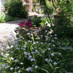 Отель B&B Oasi di Venezia фото 5