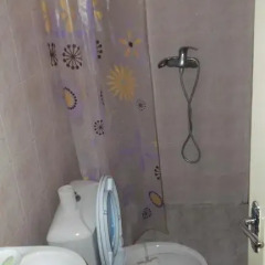 Отель Nika Guest house 2* Стандартный номер с различными типами кроватей фото 6