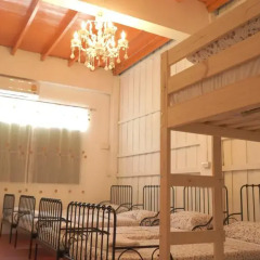 Tiger Lily Hostel Семейный номер Делюкс фото 3