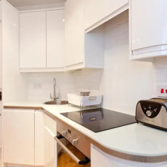 Отель Trafalgar Square Apartments Великобритания, Лондон - отзывы, цены и фото номеров - забронировать отель Trafalgar Square Apartments онлайн в номере фото 2