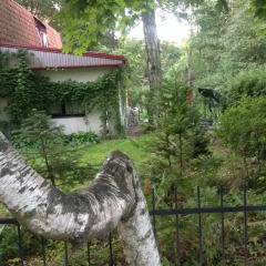 Гостиница на Ленина в Светлогорске отзывы, цены и фото номеров - забронировать гостиницу на Ленина онлайн Светлогорск фото 3