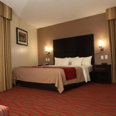 Отель Comfort Inn Los Angeles Лос-Анджелес комната для гостей фото 2