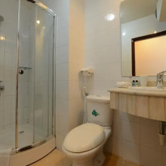 The Artisan Lakeview Hotel 3* Номер Делюкс разные типы кроватей фото 10