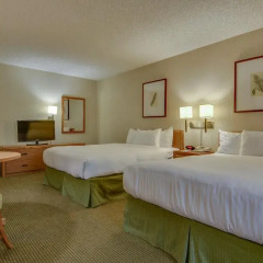 Отель Vagabond Inn Los Angeles at USC 2* Стандартный номер с различными типами кроватей фото 10