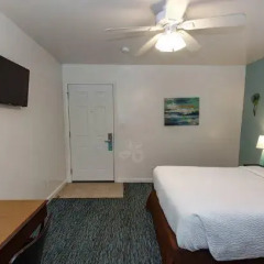 Отель Santa Monica Motel 2* Стандартный номер с различными типами кроватей фото 14
