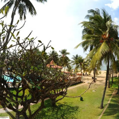 Отель Golden Star Beach Hotel Шри-Ланка, Негомбо - отзывы, цены и фото номеров - забронировать отель Golden Star Beach Hotel онлайн