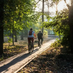 Гостиница на Улице Ленина в Ростове-на-Дону отзывы, цены и фото номеров - забронировать гостиницу на Улице Ленина онлайн Ростов-на-Дону приотельная территория