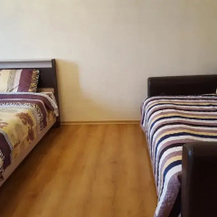 Гостиница DeLuxe Apartment Starobitsevskaya в Москве отзывы, цены и фото номеров - забронировать гостиницу DeLuxe Apartment Starobitsevskaya онлайн Москва комната для гостей фото 2