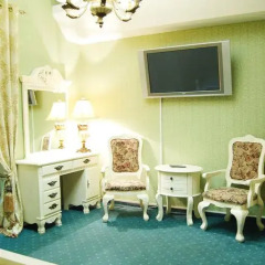 Гостиница Александр 3* Люкс с разными типами кроватей фото 25