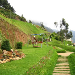Отель Hill Country Lovedale детские мероприятия