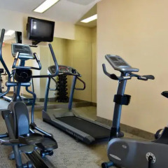 Отель Holiday Inn Express Vancouver-Metrotown (Burnaby) Канада, Бурнаби - отзывы, цены и фото номеров - забронировать отель Holiday Inn Express Vancouver-Metrotown (Burnaby) онлайн фитнесс-зал фото 4