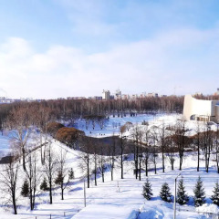 Гостиница Вятка фото 6