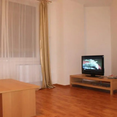 Апартаменты Petal Lotus Apartments on Tsiolkovskogo Апартаменты с разными типами кроватей фото 31