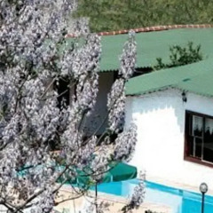 Отель Garden Camping Motel фото 3