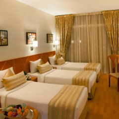 Landmark Plaza Hotel 3* Стандартный номер с различными типами кроватей фото 2