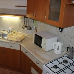 Отель Herczeg Apartment Венгрия, Силвашварад - отзывы, цены и фото номеров - забронировать отель Herczeg Apartment онлайн в номере фото 2