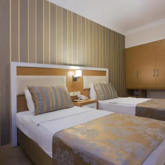 Lonicera City Hotel 3* Стандартный номер с различными типами кроватей фото 9