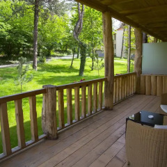 Отель Lopota Lake Resort & Spa 4* Стандартный номер с различными типами кроватей