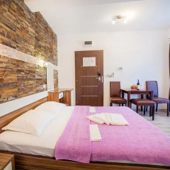 Отель Dimić Ellite Accommodation 4* Апартаменты с различными типами кроватей фото 5