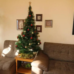 Отель Guest House Divna 2* Коттедж фото 19