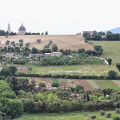 Отель Agriturismo Case al Sole Италия, Лорето - отзывы, цены и фото номеров - забронировать отель Agriturismo Case al Sole онлайн фото 11