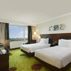 Отель Hilton Garden Inn New Delhi/Saket 4* Стандартный номер с различными типами кроватей фото 3