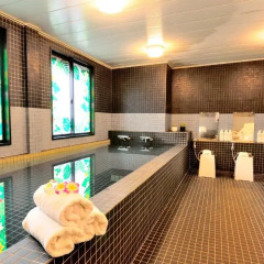 Grand Park Hotel Panex Chiba Тиба сауна
