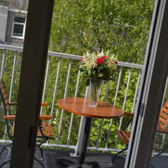 Alp Hotel Amsterdam 2* Стандартный номер фото 5
