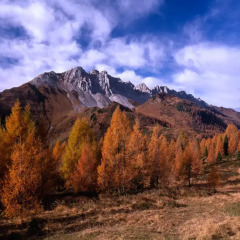 Отель Pa' Sefn Италия, Саурис - отзывы, цены и фото номеров - забронировать отель Pa' Sefn онлайн фото 7