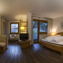 Отель Der Waldhof 4* Стандартный номер фото 2