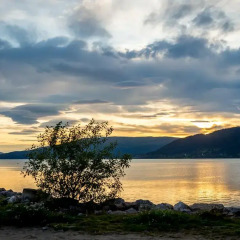 Отель Fjordgaarden Mo